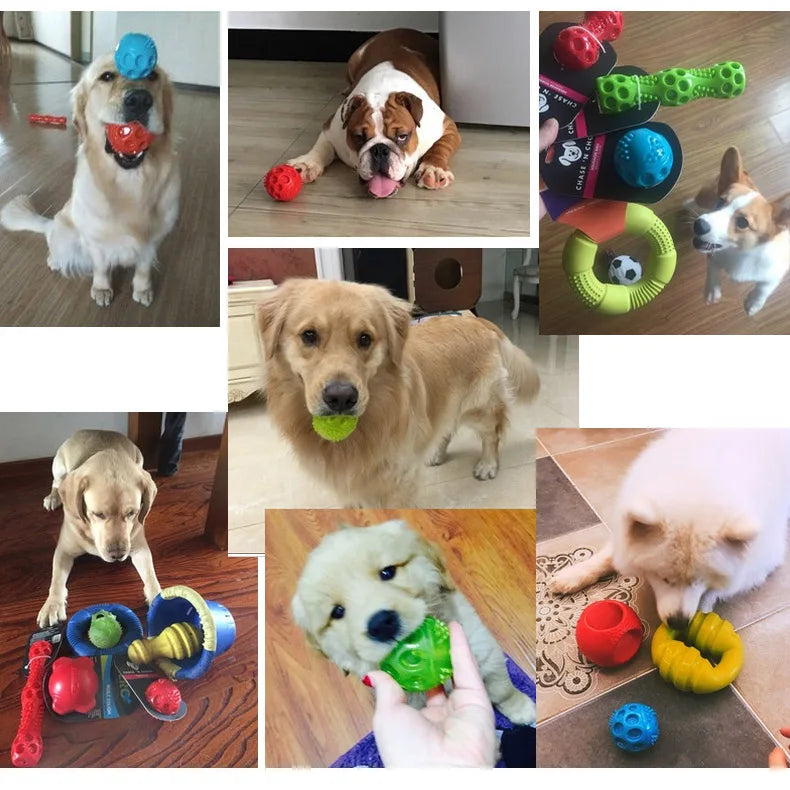 the SQUEAK BALL - CAITEC Dog Toys Squeaking Bouncing Ball