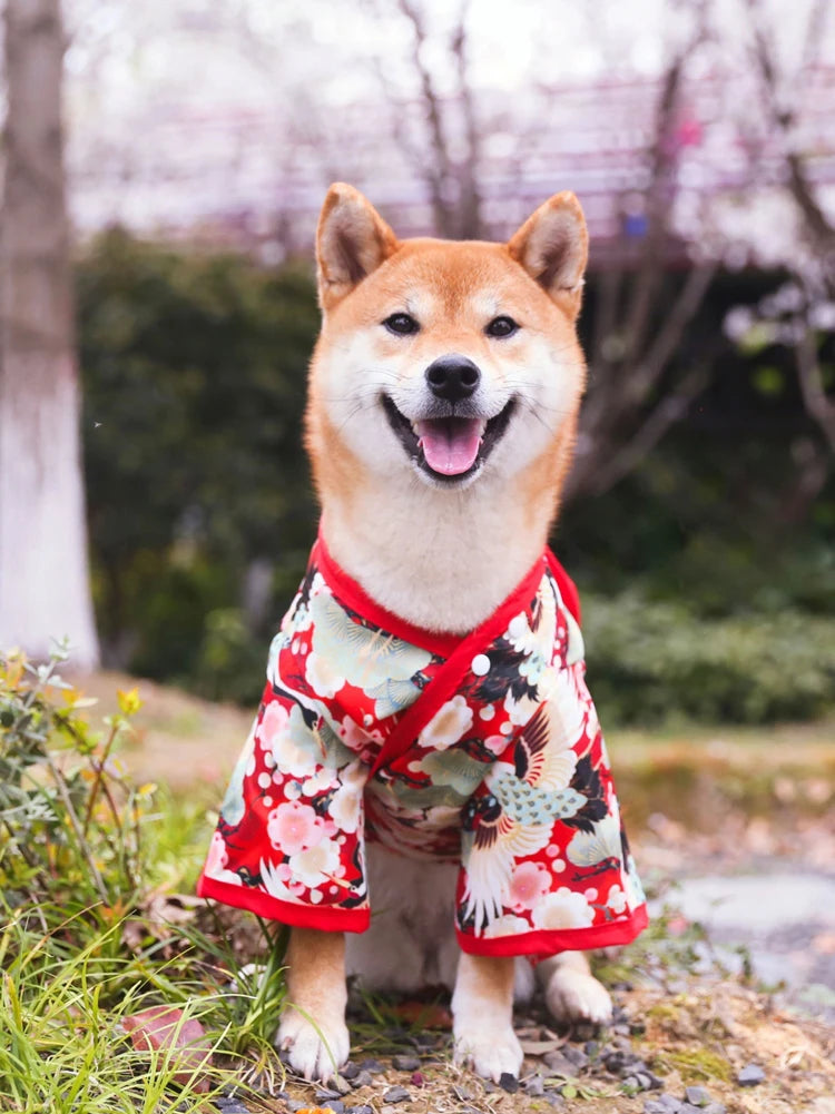the CRANEBLOSSOM KIMONO COAT - Pet Japanese Kimono, Cat/Dog Cosplay Coat, Crane/Cherry Blossom Pattern, Pet Jacket, Christmas/Easter Dresses, Chihuahua, Pet Clothes