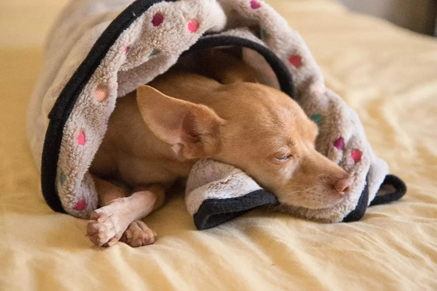 the PAWPLAY COZY BLANKET - Soft Fluffy High Quality Pet Blanket, Cute Cartoon Pattern Pet Mat, Warm and Comfortable Blanket for Cat/Dogs, Mat Cover, Pet Supplies