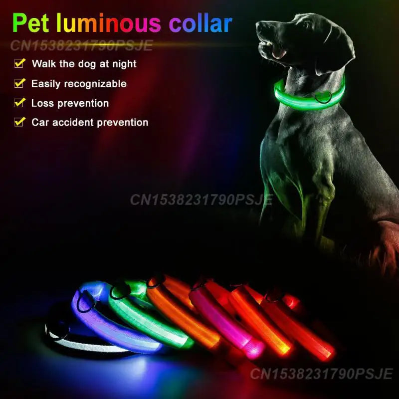 the NEON COLLAR - Nylon Pet Dog Collar USB Rechargeable LED