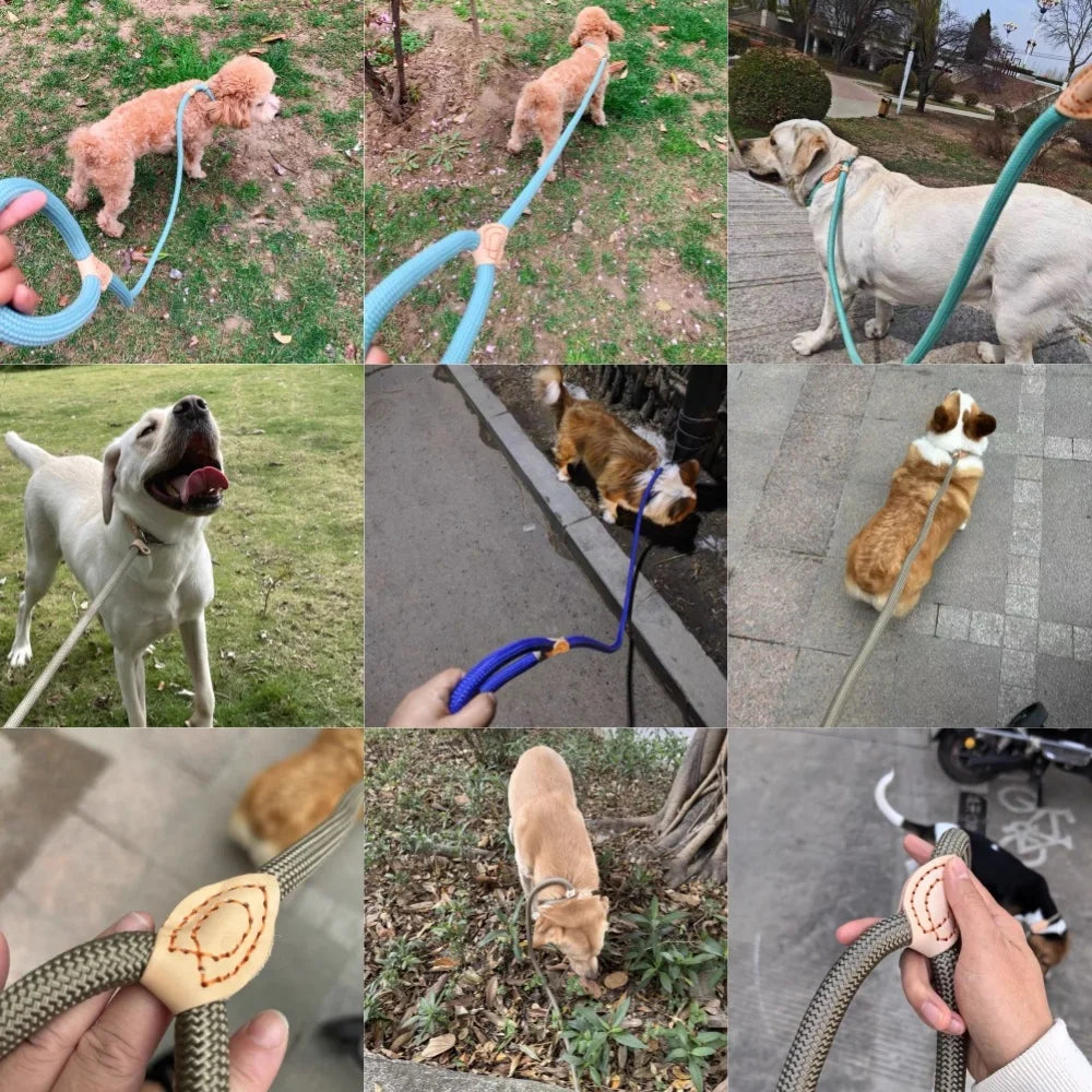 the TRAINMASTER BRAIDED LEAD - 1.5M/1.8M Dog Leash Slip Rope, Lead Leash Heavy Duty Braided Rope, Adjustable Loop Collar Training Leashes for Medium/Large Dogs