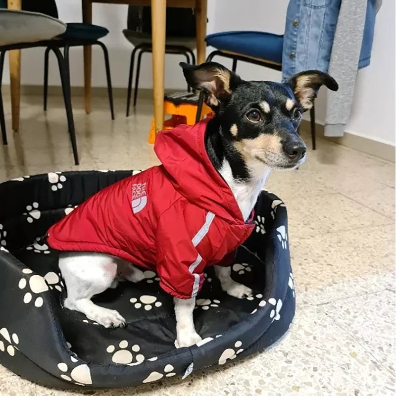 StormShield Reflective Rain Jacket™ Waterproof Dog Coat | Dog Paw Clothing™