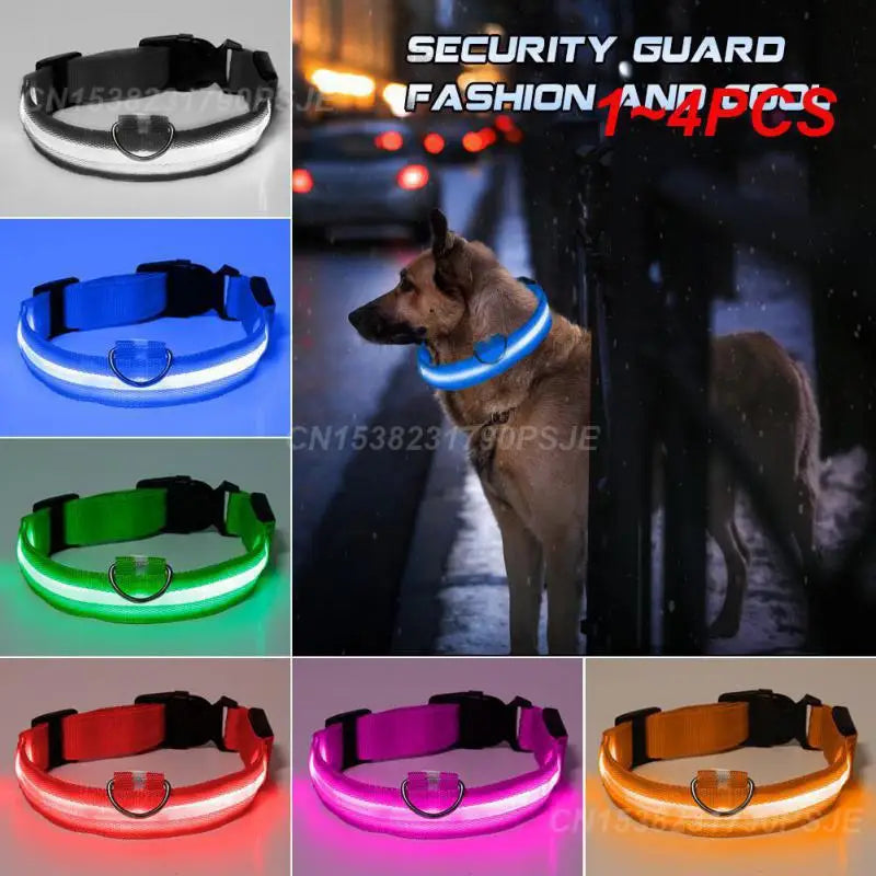 the NEON COLLAR - Nylon Pet Dog Collar USB Rechargeable LED