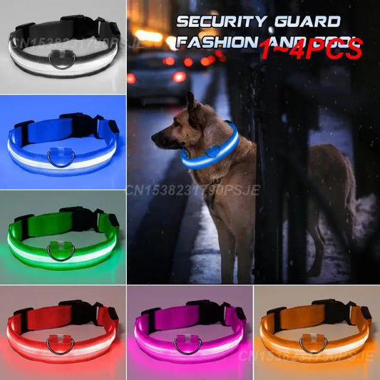 the NEON COLLAR - Nylon Pet Dog Collar USB Rechargeable LED