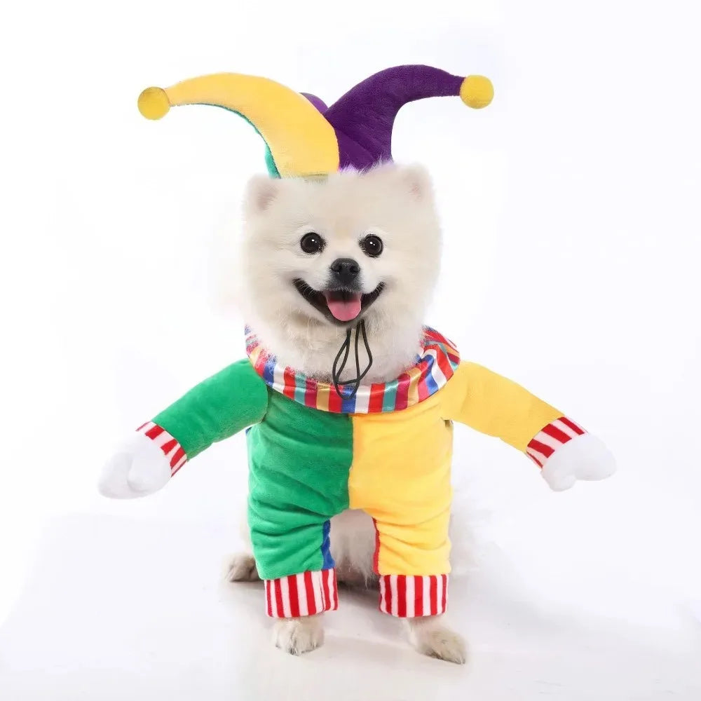 Pet Clothes Halloween Funny Pumpkin Pirate Transformation Cat Small Dog Transformation Dress Photo Dog Clothes Pet Supplies