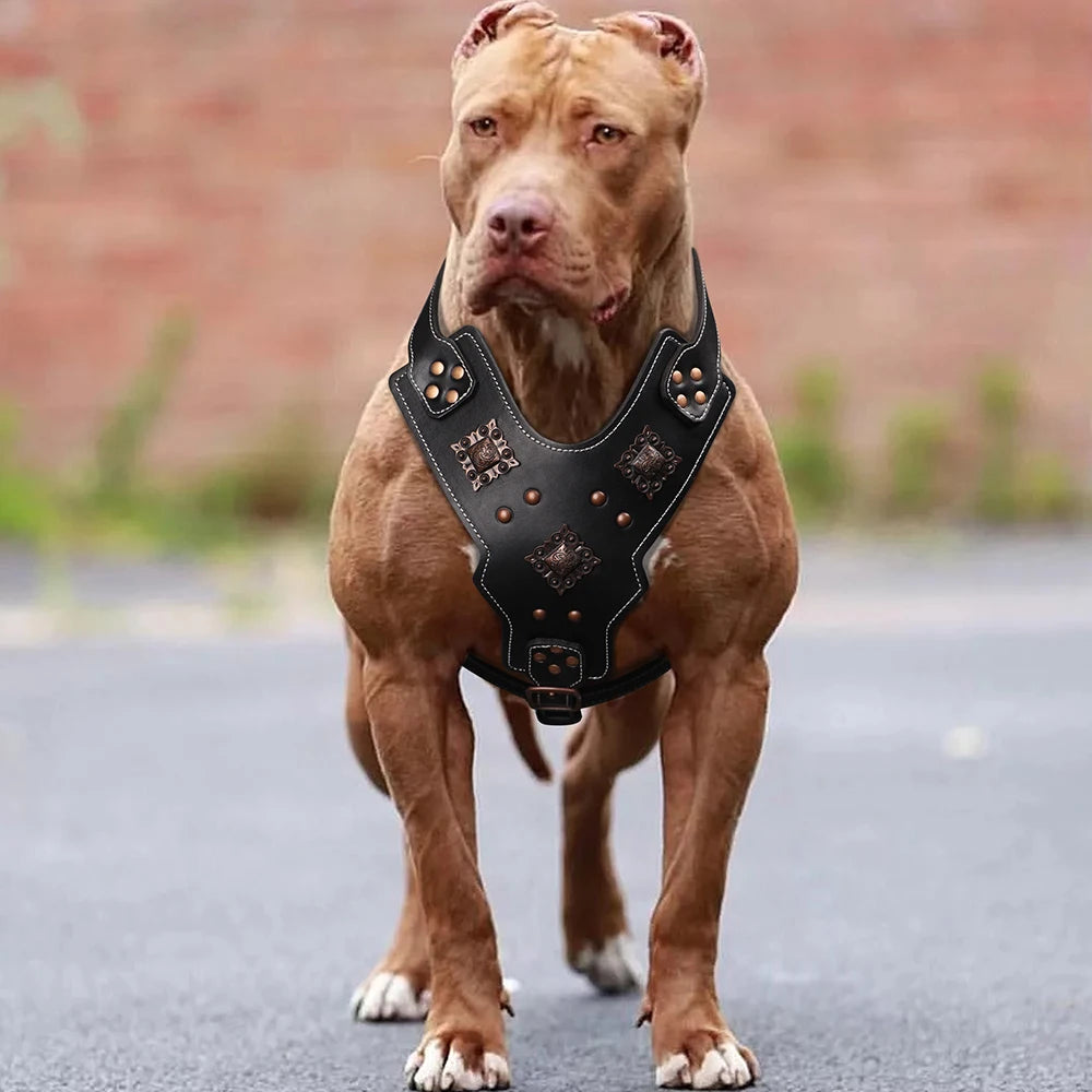 Genuine Leather Dog Harness Durable Large Dogs Harnesses Riveted Pet Training Vest With Metal Accessories For Medium Large Dogs