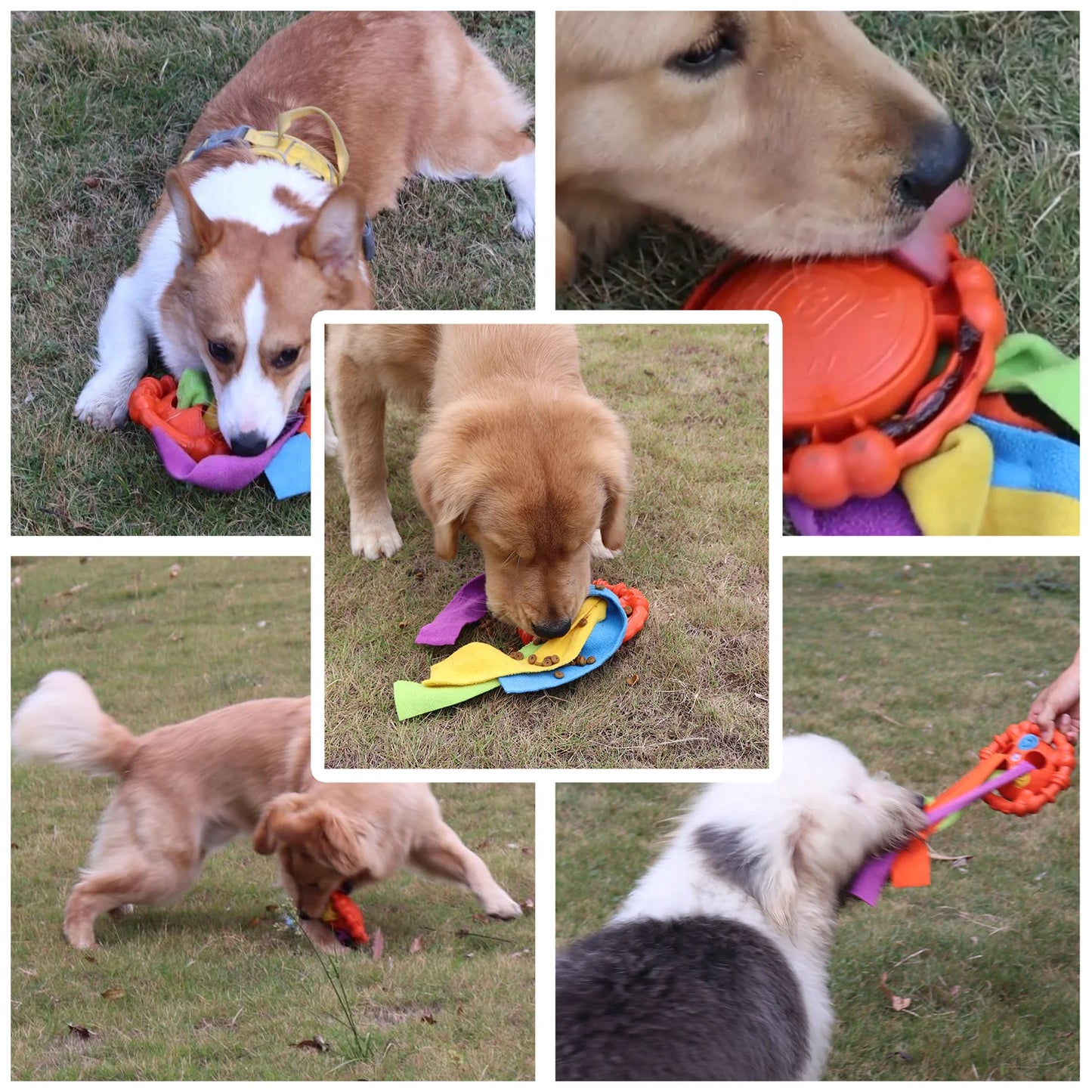 Dog Interactive Toy Colorful Tug Chew Ball with Treat Hiding Ropes, Beef Flavor, Fun Sound Play, Pet Training Stress Relief