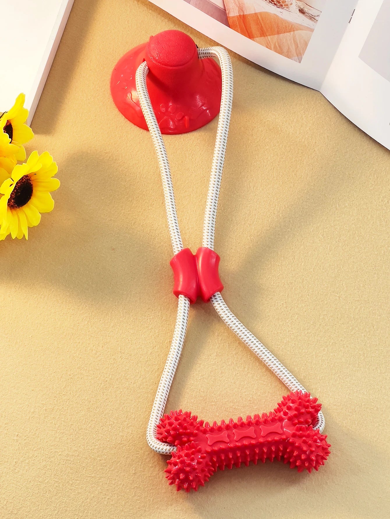 A TPR dog gnaws on a toy sucker bottom bone and grinds its teeth with a bite-resistant training stick