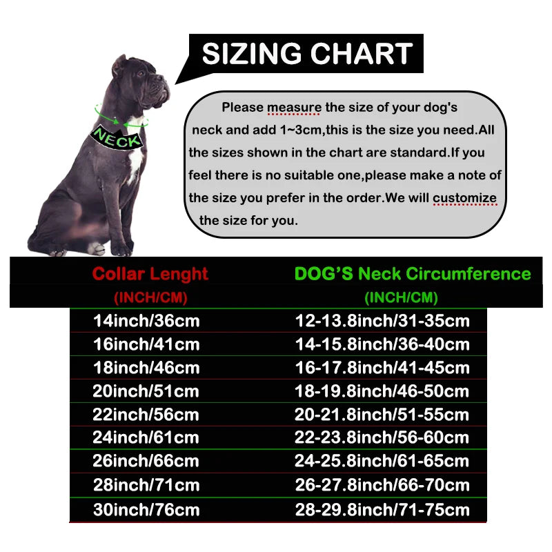 the ALPHALUX STEEL COLLAR - 32mm Gold Dog Collar - Stainless Steel Metal - Pet Choker Lead for Medium/Large Dogs, Pet Accessories, Labrador, Rottweiler