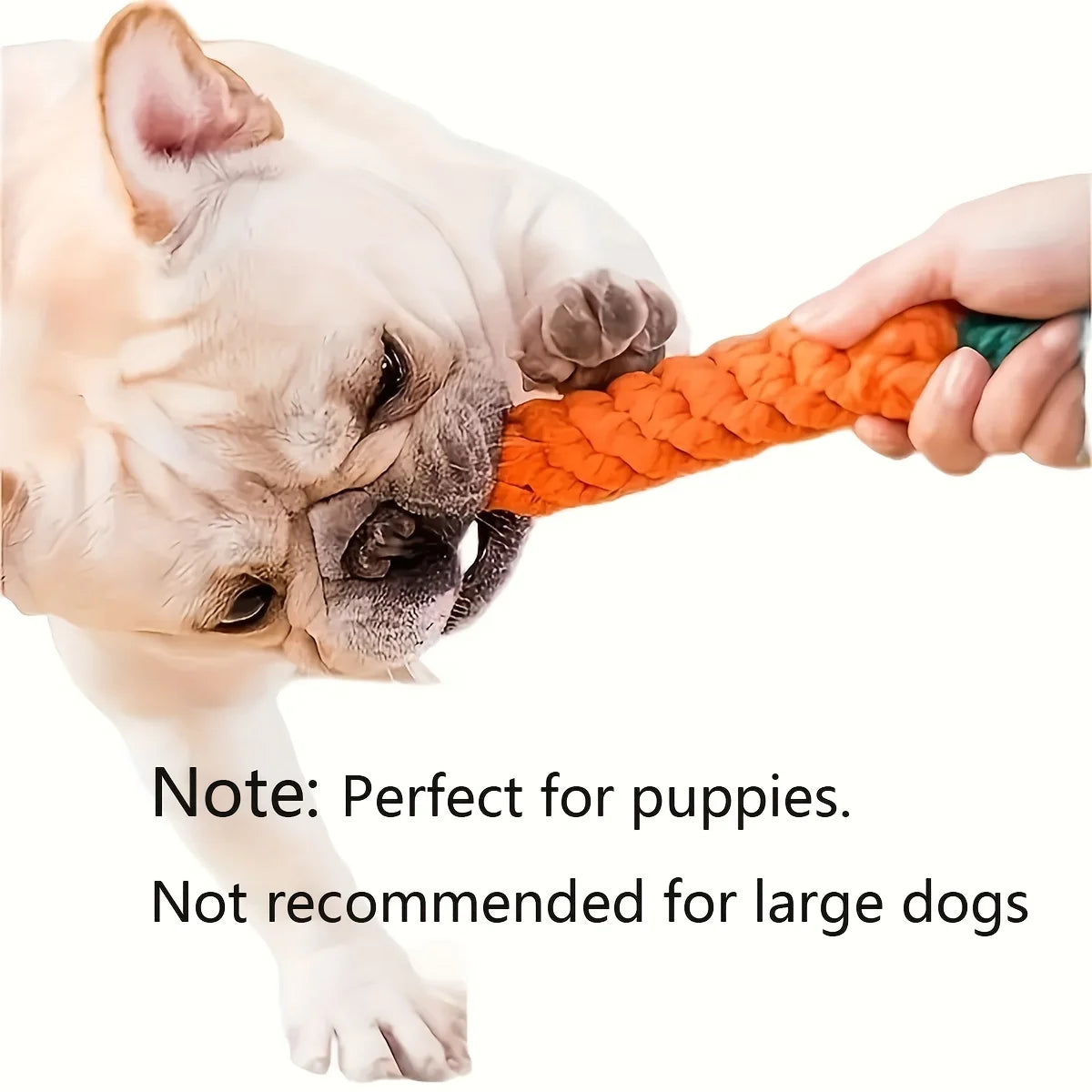 5/15/20/30pcs Random Type Durable Tough Interactive Cotton Pet Puppy Toys Vocal Toys For Small And Medium Dog Supplies