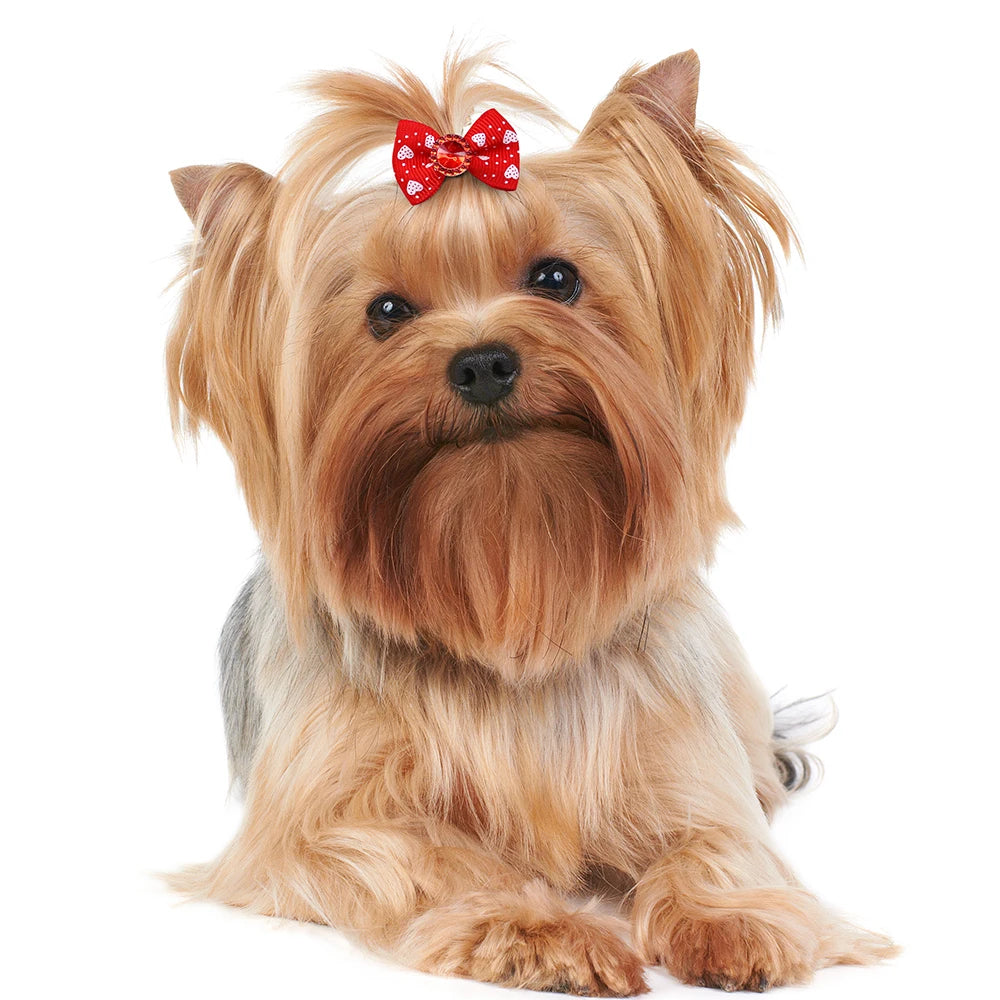 the PUPPY COUTURE BOW COLLECTION - 100PCS Cute Dog Bows with Rubber Bands, Handmade Solid Colors Multi-Style Puppy Bows, Diamonds Pet Grooming Accessories for Dogs