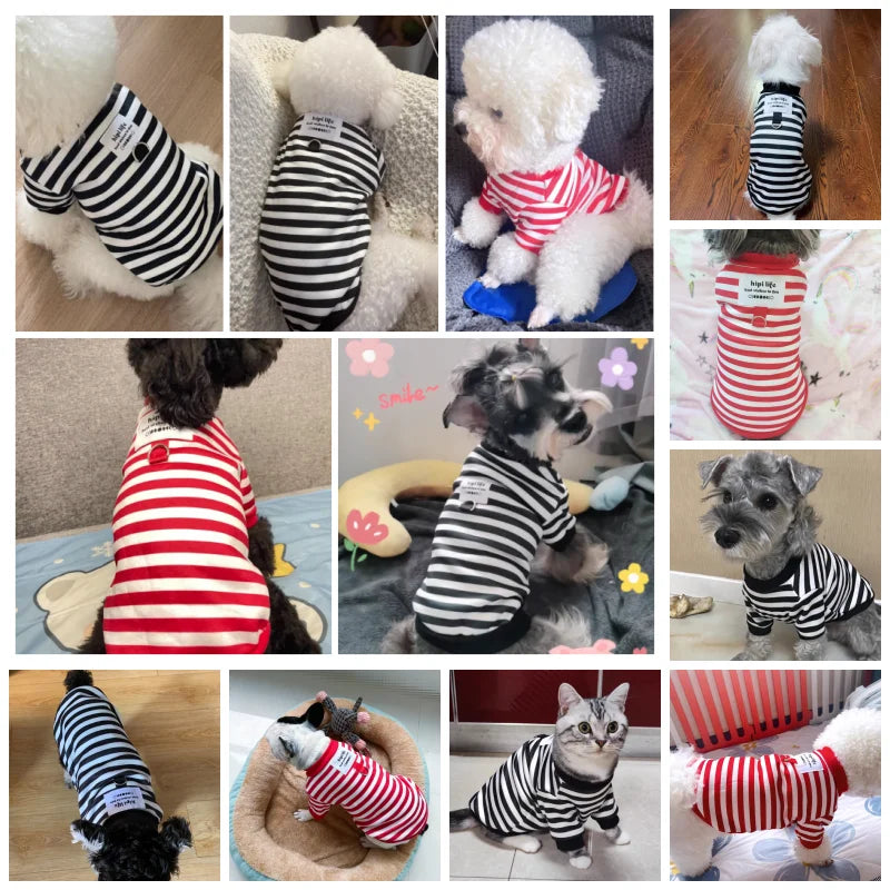 HarnessHug Hoodie™ Warm Dog Harness Hoodie | Dog Paw Clothing™