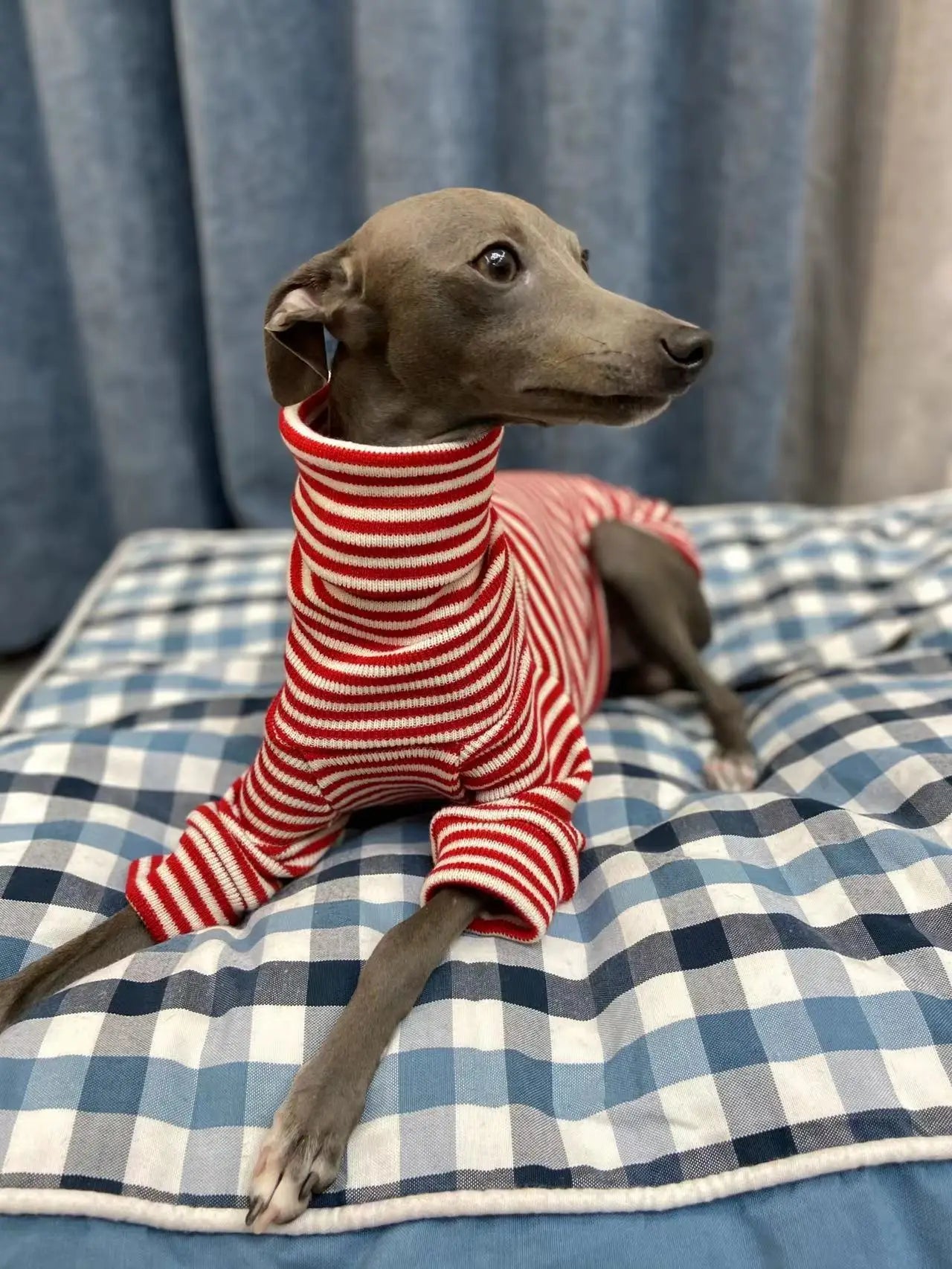 Italian Greyhound Red Striped Sweater Whippet Turtleneck Coat Stretch Warm Pet Clothing