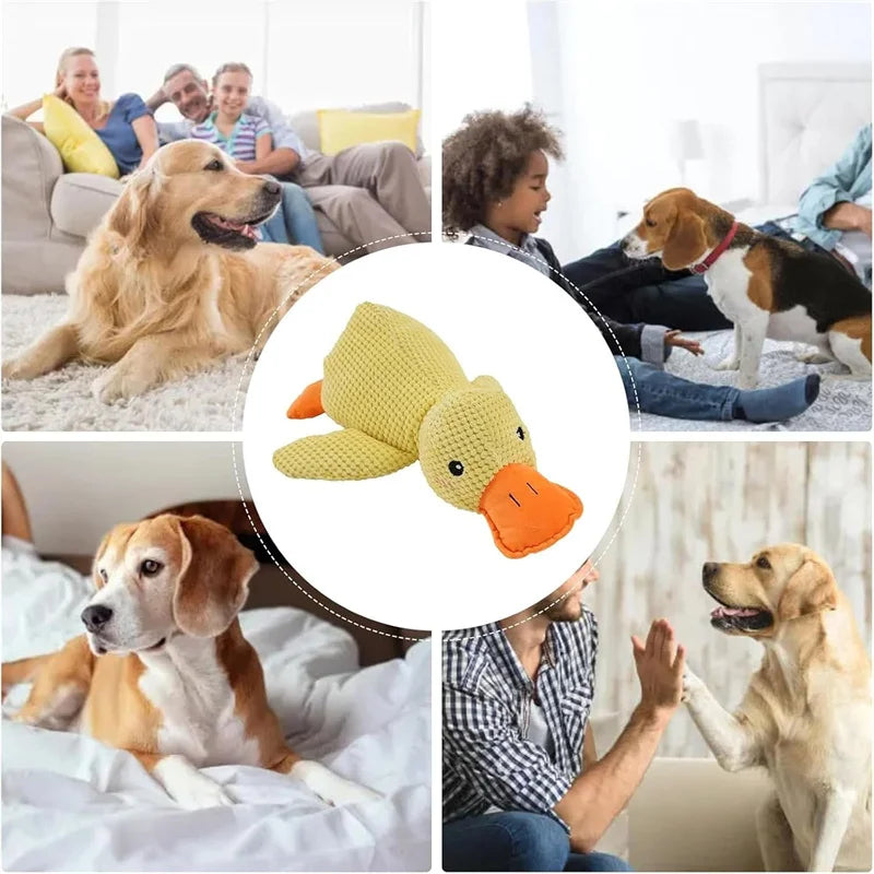 WhaleSplash Feeder Ball™ | Interactive Food Dispenser Toy for Dogs | Dog Paw Clothing