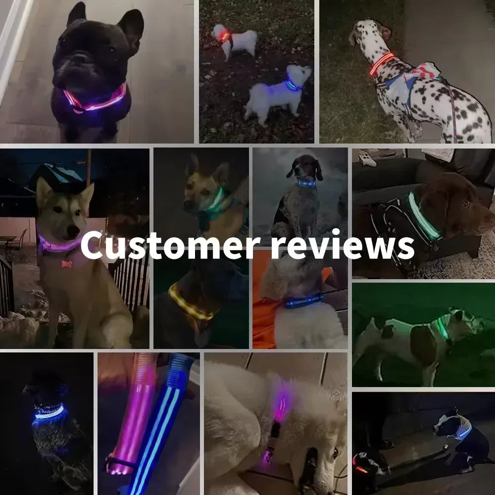 the LUMAGLOW ANTI-LOST COLLAR - LED Glowing Dog Collar, Adjustable Flashing Rechargeable Luminous Collar, Night Anti-Lost Dog Light Harness for Small Dog, Pet Products