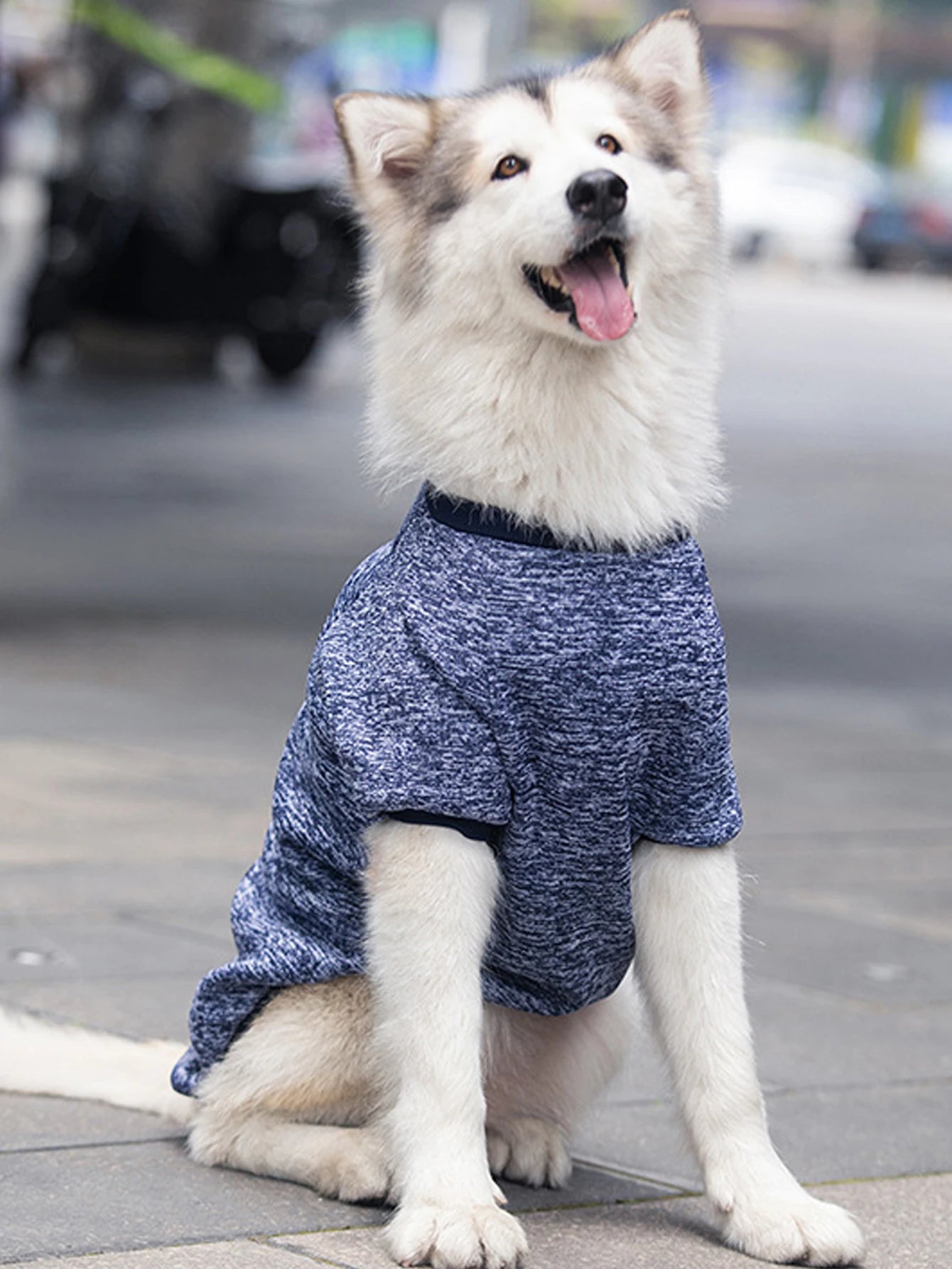 the BIGPAW COZY SWEATSHIRT - Dog Sweatshirts for Medium and Large Pet, Golden Satsuma Huskies Border Collies, Autumn and Winter Clothes, Pet Supplies Clothing