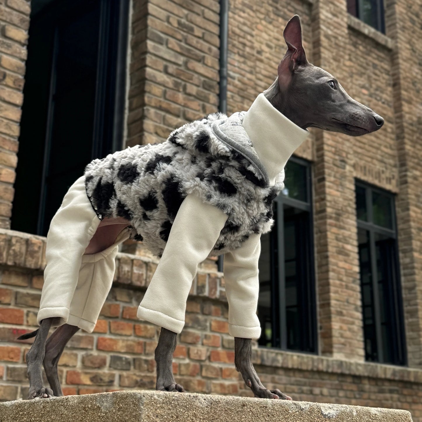 Hooded Leopard Sweater for Dogs in Winter Soft 4-legged False Two Fleece Coat for Greyhounds Warm High-neck Jumpsuit for Whippet