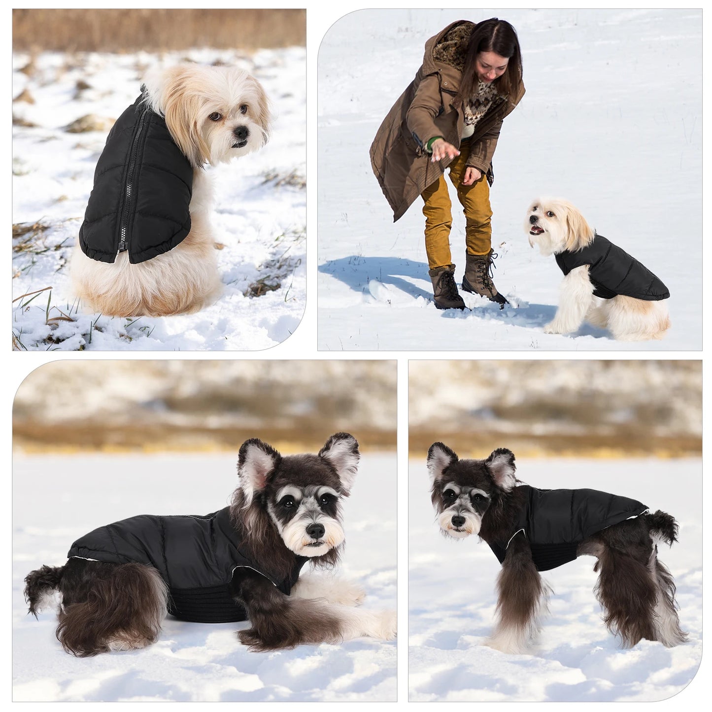 the ARTIC PUP WINDPROOF WINTER COAT - Winter Pet Dog Jacket, Windproof Warm Dogs Clothes for Small/Medium Dogs/Cats, Puppy Down Coat, Chihuahua Shih Tzu Costume, Yorkies