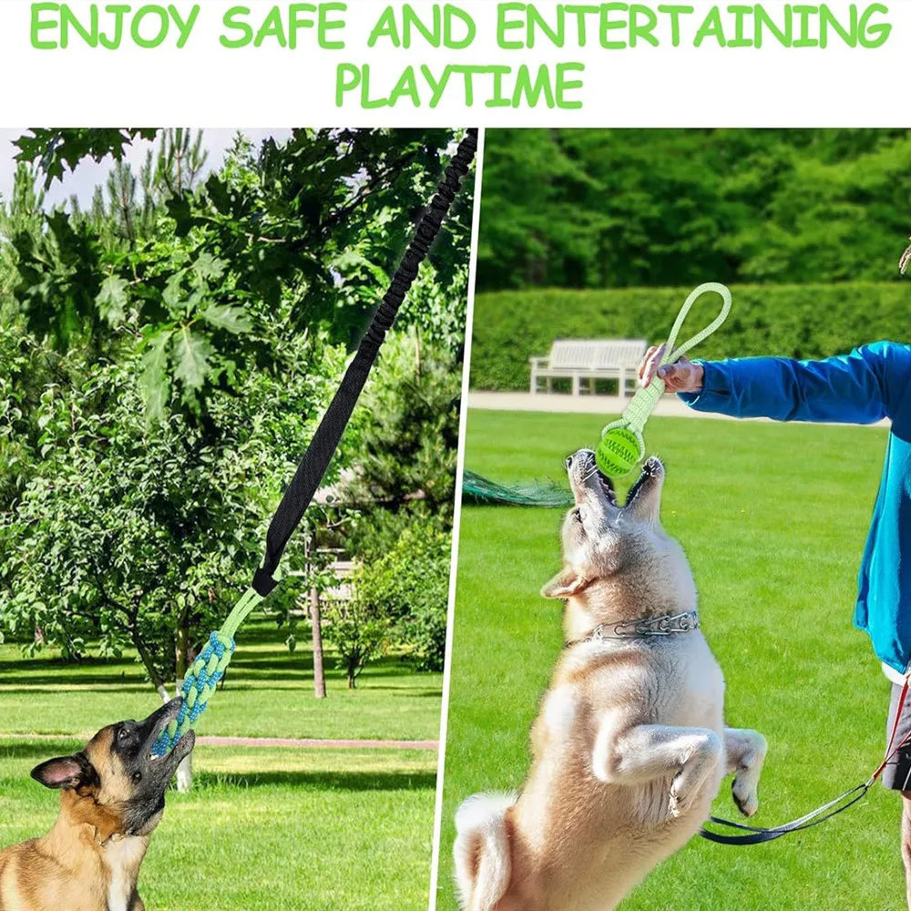 BounceGrip Tug & Chew™ – Interactive Spring Rope Dog Toy for Indoor & Outdoor Play