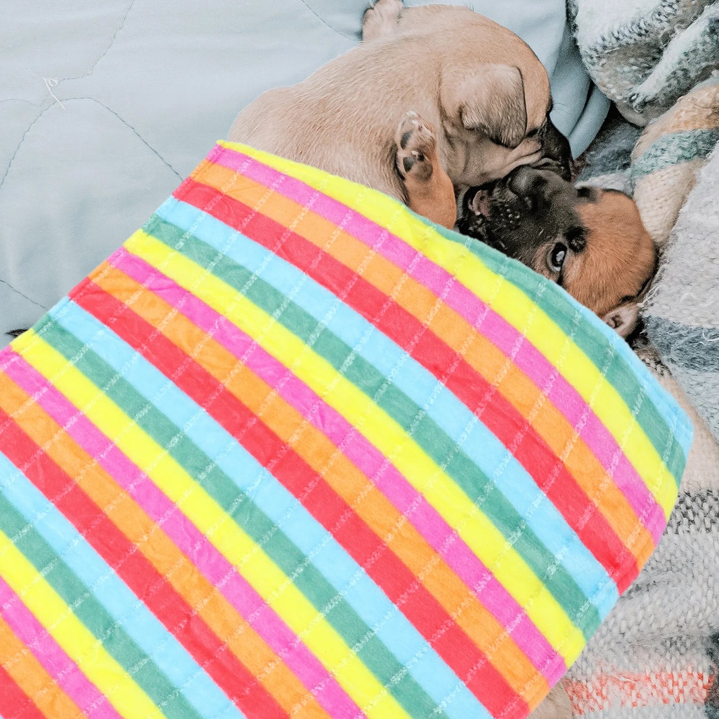1Pcs Pet Blanket Flannel Rainbow Warm Cozy Blanket Dog Cat Bed Mat Sleep Cover Soft Durable Indoor Outdoor Dog Bed Mat