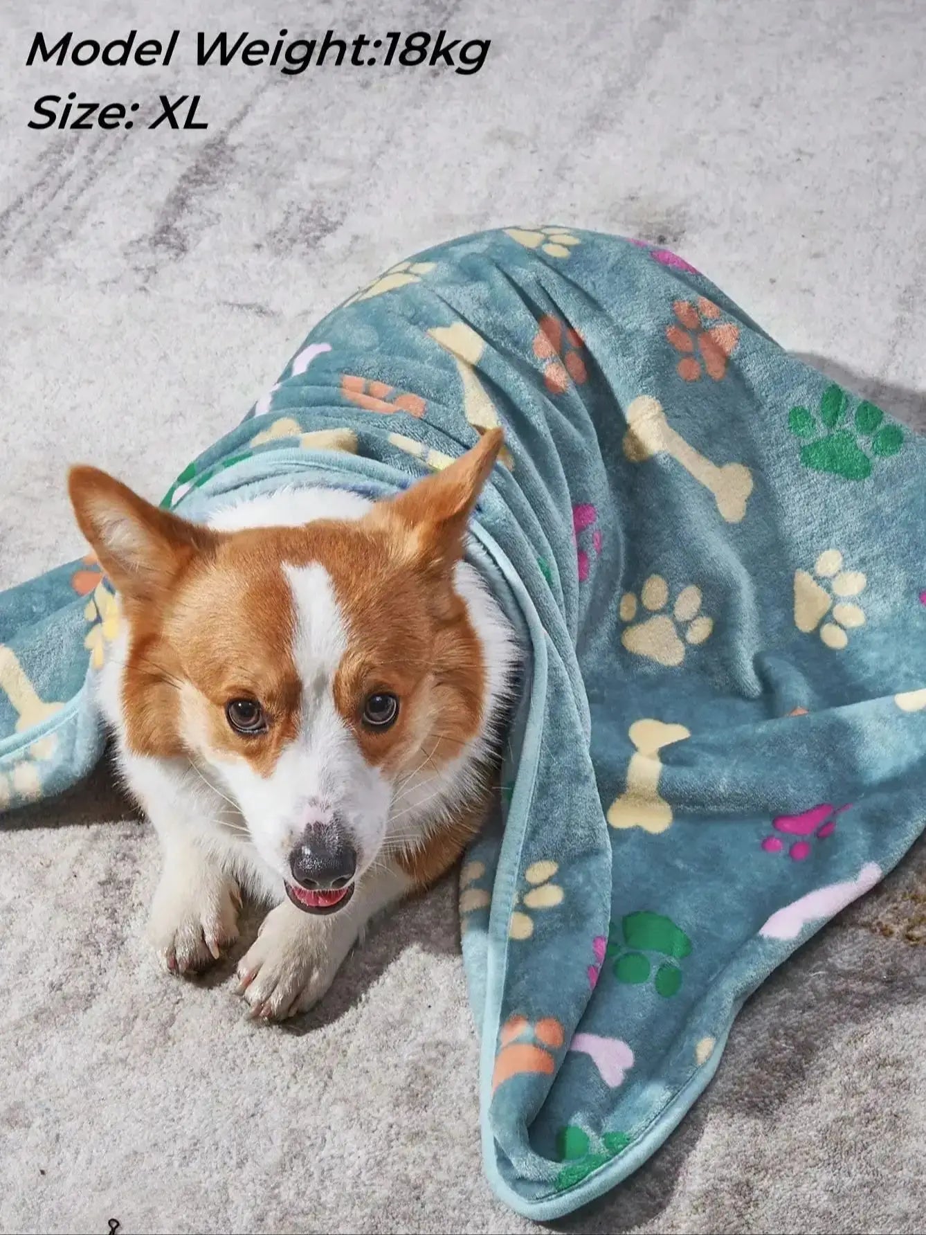 1pc Pet Blanket Dog Puppy Blanket Bone Print Fleece Blanket for Small Medium Large Dog Cat
