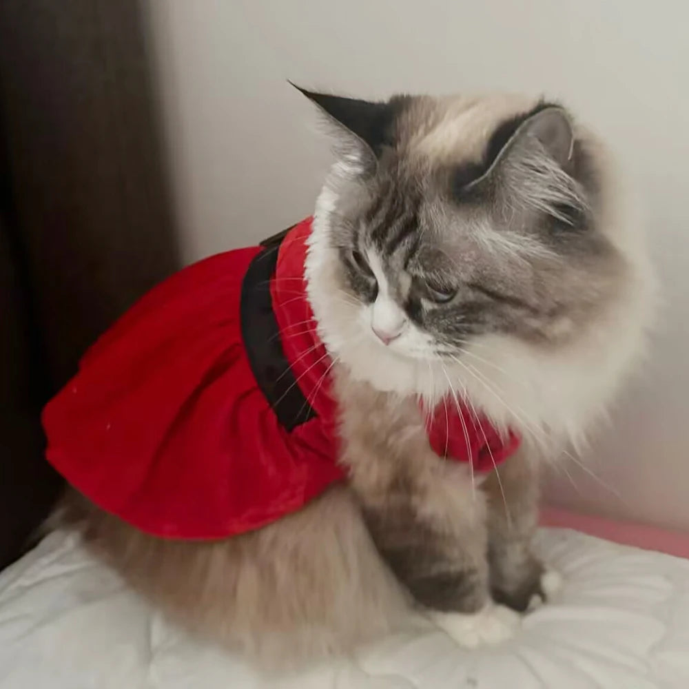 Christmas Dog Skirt Cute Pet Santa Claus Dress Costume for Small Medium Dogs Cat Puppy Cosplay Clothes Pug New Year Party Gifts