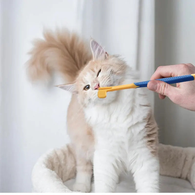 the GROOMING & BEAUTY KIT - 8PCS Complete Grooming Pet Brush Beauty Kit, Cleaning Brush Storage Bag, Dogs Nail Clipper - Flea Comb Cat Hair Removal Brush Kits