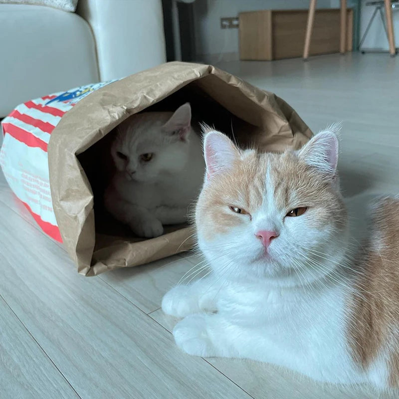 Creative Cute Hidden Food Pet Cat and Dog Kraft Paper Popcorn Paper Bag Puzzle Decompression Sound chew Dog Toy