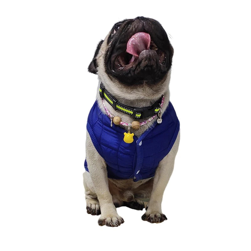 the SOFTPAWS COZY COAT - Winter Pet Cotton Jacket, Warm Dog Clothes, Puppy Coat for Small/Medium Dogs/Cats Outfit, Chihuahua, French Bulldog, Maltese Clothing