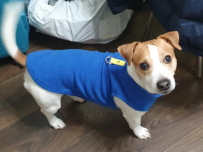 FrostBuddy Fleece Vest™ Warm Dog Jacket | Dog Paw Clothing™