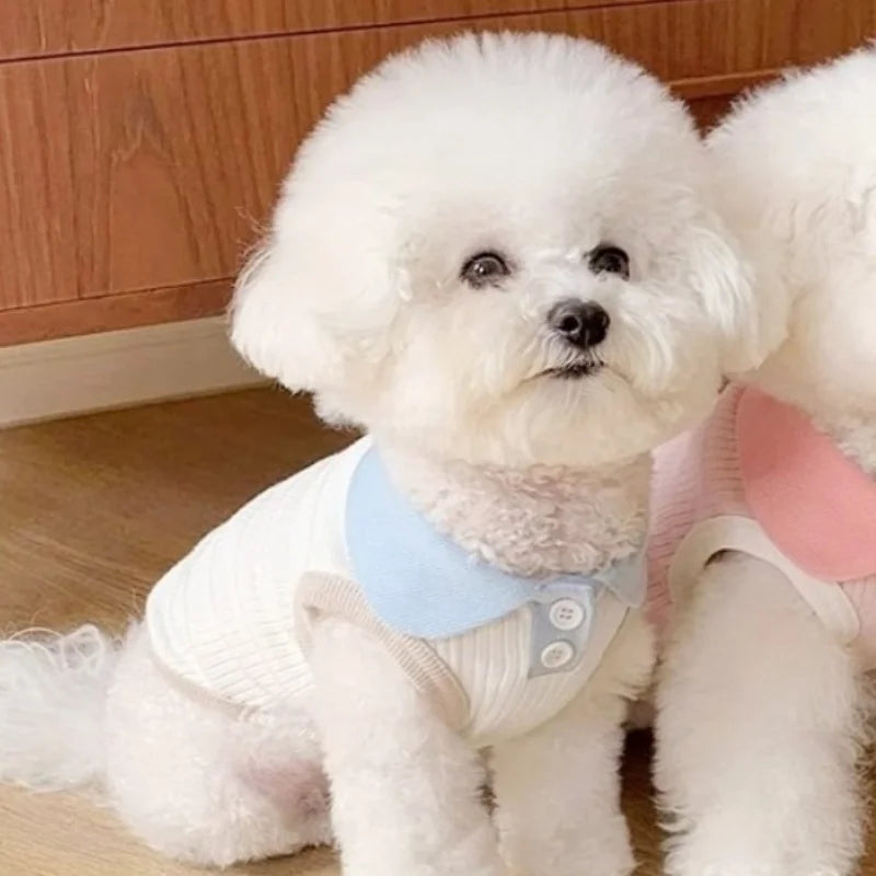 Summer Pet Dog Polo Shirt Breathable Dog Clothes Fashion Puppy Vest Cute Solid Cat Shirt Soft Pet Costumes Chihuahua Dog Clothes