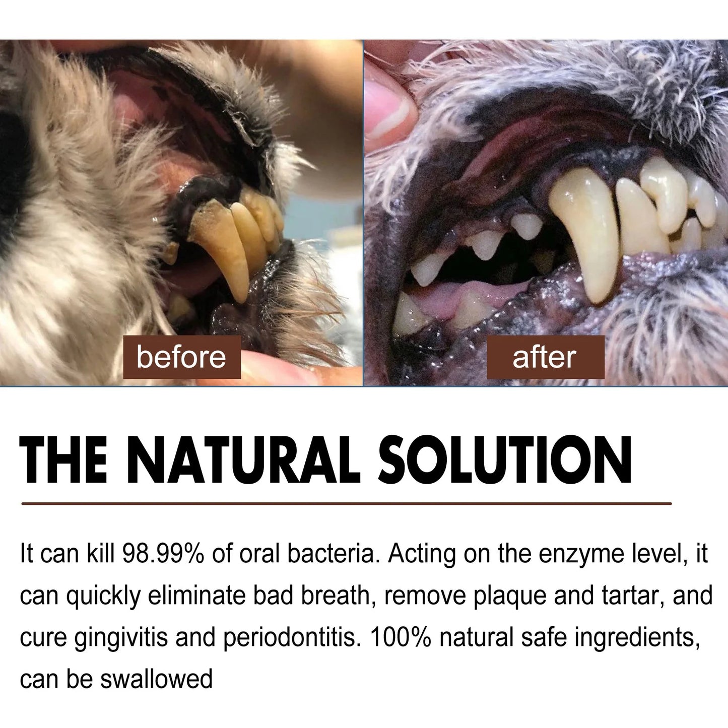 the NATURAL SOLUTION - Pet Tooth Cleaning Spray, Dogs Remove Bad Breath Freshener, Dogs/Cats Oral Cleaning Dental Care Deodorization Spray, Pet Supplies 30ml