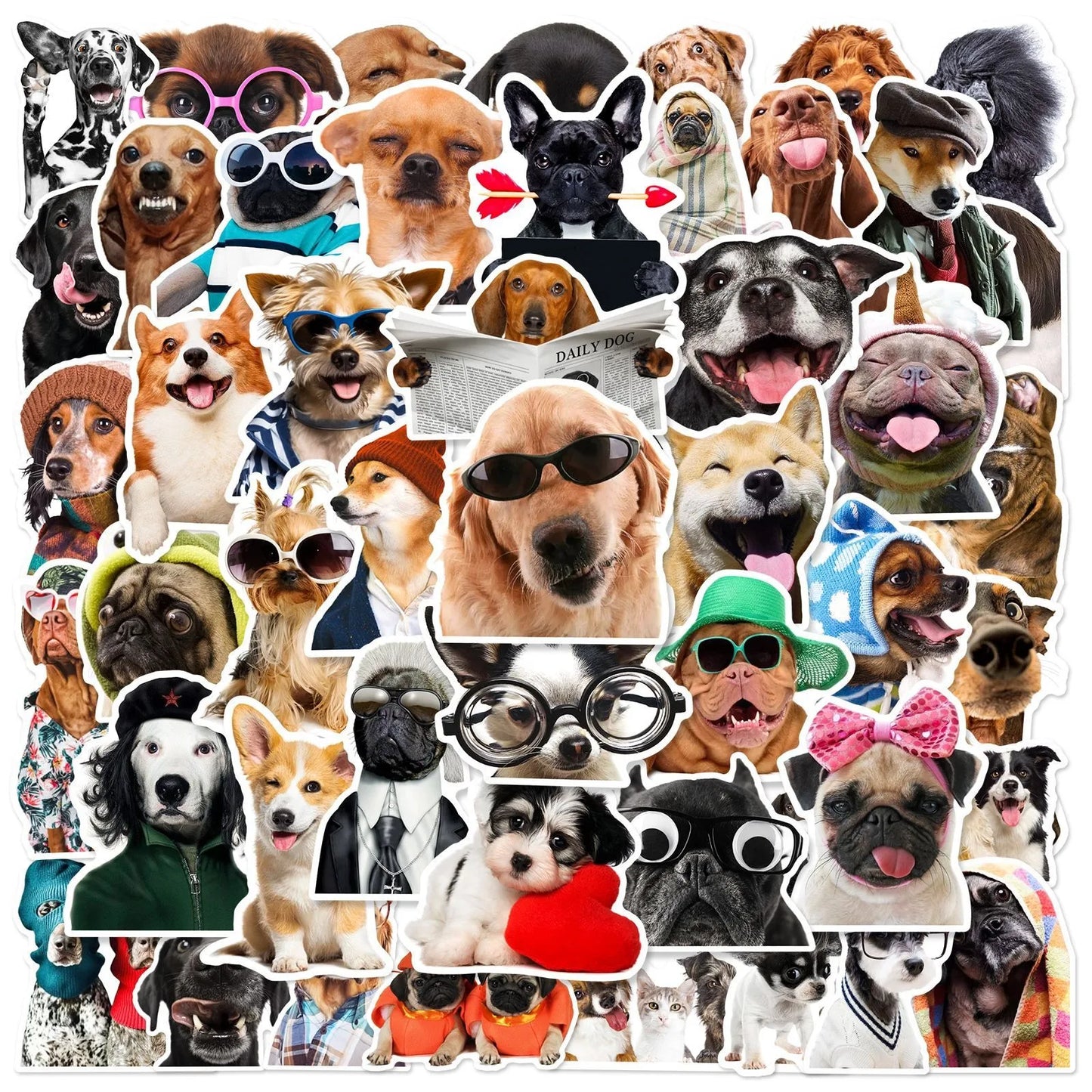 the PAWLAUGH GRAFFITI PACK - 10/25/50pcs Funny Lovely Dog Meme Stickers, Graffiti for DIY Decor, Stationery, Suitcase, Water Bottle, Phone, Laptop, Scrapbooking