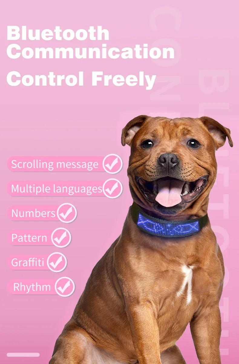 the NIGHTSYNC LED SAFETY COLLAR - LED Pet Collar, App Bluetooth Adjustable Luminous Waterproof Light Up Safety Dog Accessories Collar, Programmable USB Rechargeable