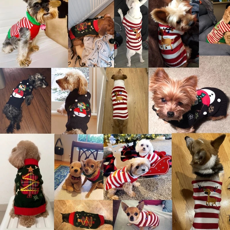 the PAW-LIDAY SWEATER - Christmas Warm Clothes for Dogs, Small/Medium/Large Dog Winter Sweater, Pet Clothing Knitted Coat, Cartoon Striped Big Dog Clothes