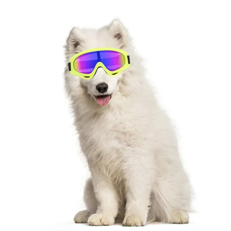 the GOGGLES - Big Dog Goggles Wind and Snow Protection UV Protection Sunglasses