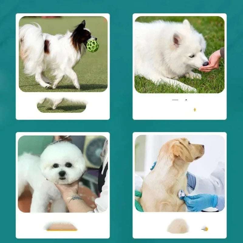 Bite Proof Animal Grooming Gloves Double Leather Reinforced Padding Dog Cat Grabbing Snake Anti Bite Scratch Handling Gloves