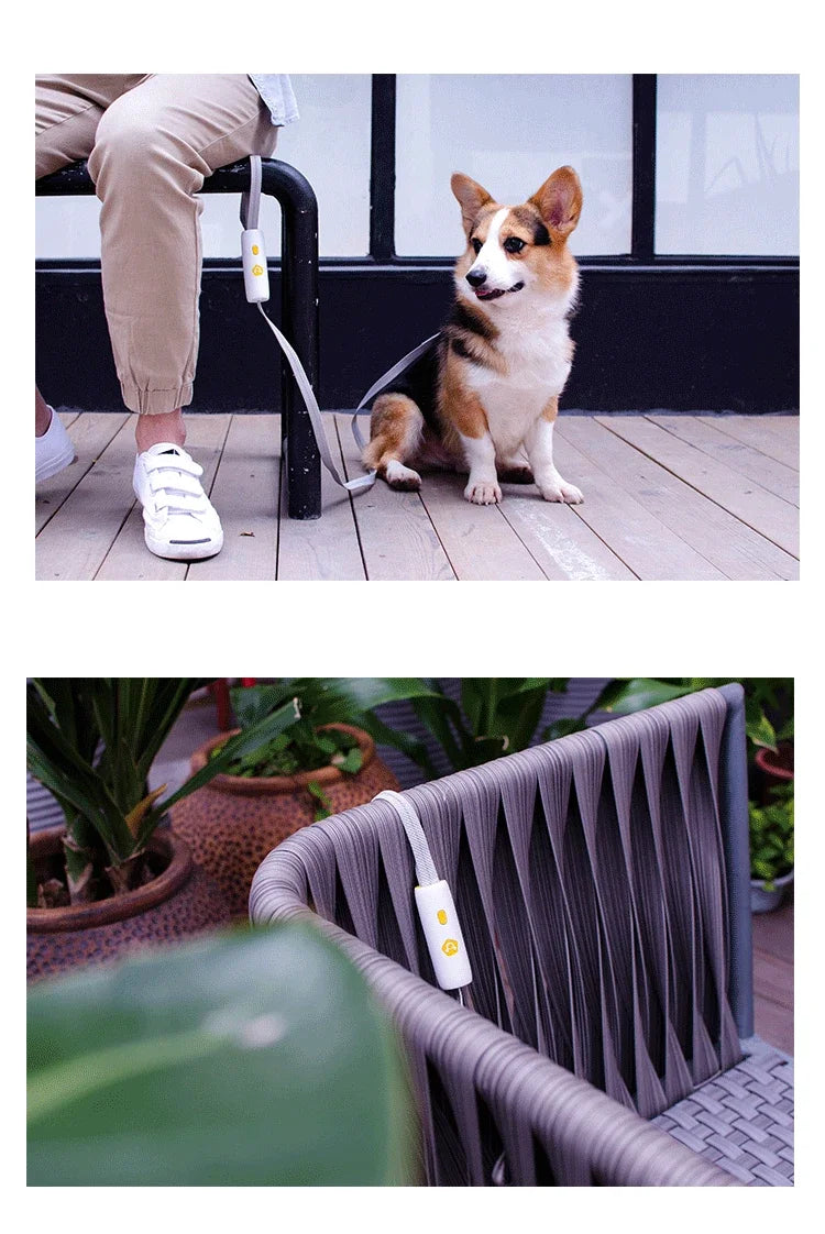 the SECUREWALK ANTI-LOST LEASH - New Anti-Lost Dog Leash, Explosion-Proof Dog Leash, Nylon Reflective Small/Medium Dog Leash for Walking Dogs, Outdoor Supplies