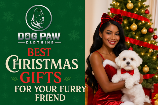 2025 Best Christmas Gifts for Your Furry Friend