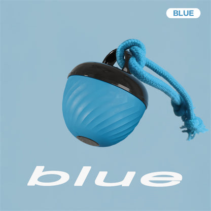 Pet Ball for Dogs Interactive Toys Motion Activate Rolling Ball for Puppy/Small Dogs Automatic Moving Toy USB Rechargeable Toy