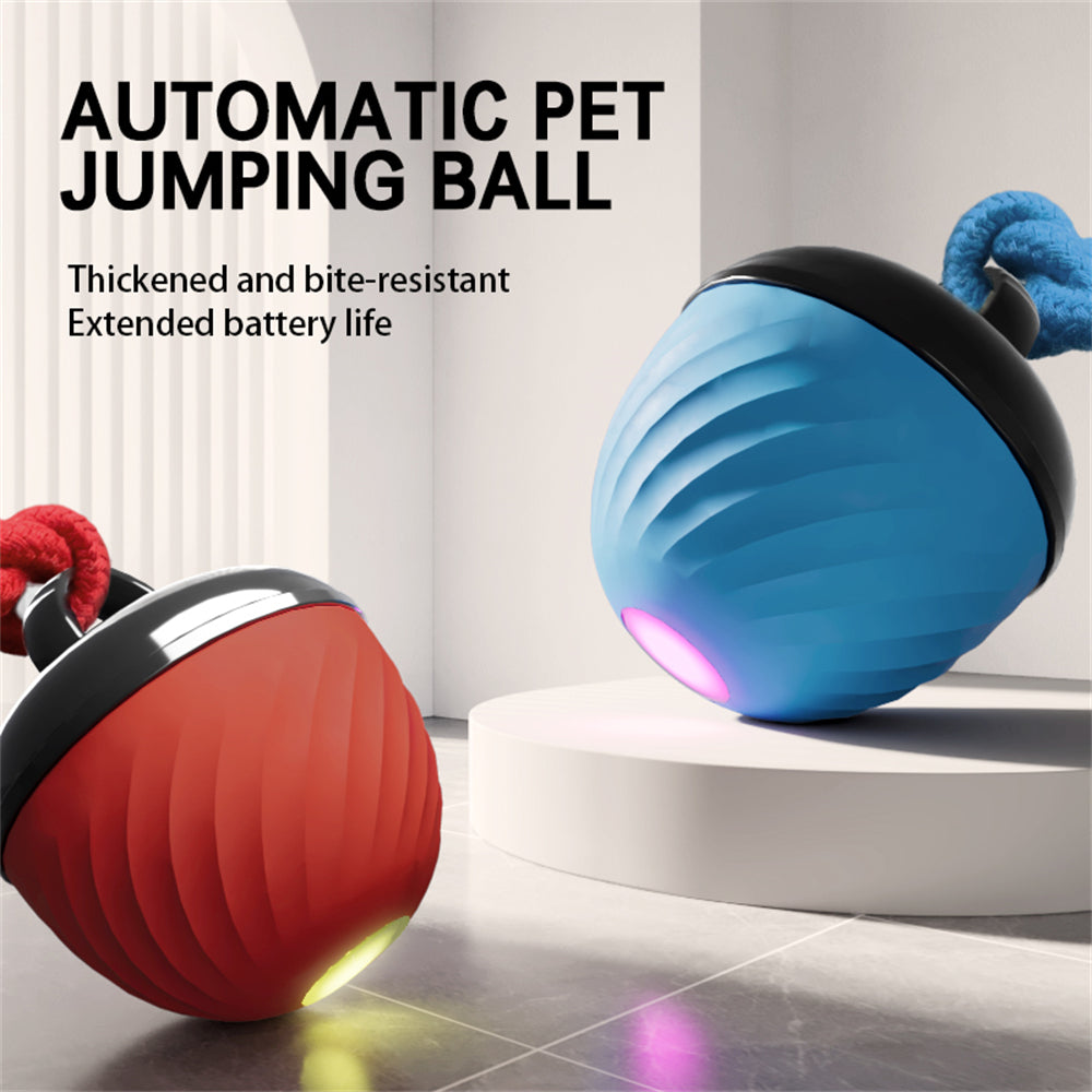 Pet Ball for Dogs Interactive Toys Motion Activate Rolling Ball for Puppy/Small Dogs Automatic Moving Toy USB Rechargeable Toy