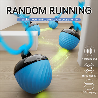 Pet Ball for Dogs Interactive Toys Motion Activate Rolling Ball for Puppy/Small Dogs Automatic Moving Toy USB Rechargeable Toy