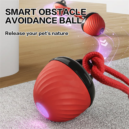 Pet Ball for Dogs Interactive Toys Motion Activate Rolling Ball for Puppy/Small Dogs Automatic Moving Toy USB Rechargeable Toy