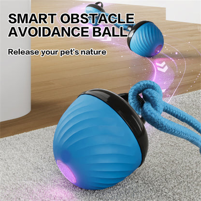 Pet Ball for Dogs Interactive Toys Motion Activate Rolling Ball for Puppy/Small Dogs Automatic Moving Toy USB Rechargeable Toy