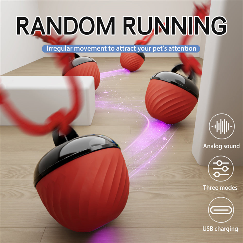 Pet Ball for Dogs Interactive Toys Motion Activate Rolling Ball for Puppy/Small Dogs Automatic Moving Toy USB Rechargeable Toy