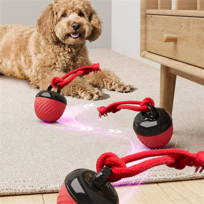 Pet Ball for Dogs Interactive Toys Motion Activate Rolling Ball for Puppy/Small Dogs Automatic Moving Toy USB Rechargeable Toy