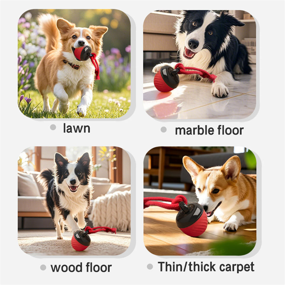 Pet Ball for Dogs Interactive Toys Motion Activate Rolling Ball for Puppy/Small Dogs Automatic Moving Toy USB Rechargeable Toy