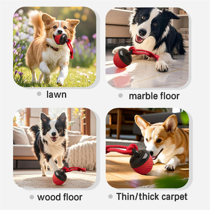 Pet Ball for Dogs Interactive Toys Motion Activate Rolling Ball for Puppy/Small Dogs Automatic Moving Toy USB Rechargeable Toy