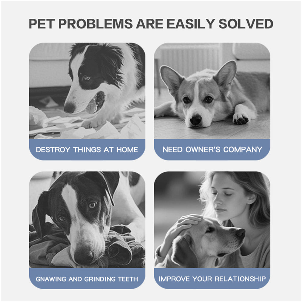 Pet Ball for Dogs Interactive Toys Motion Activate Rolling Ball for Puppy/Small Dogs Automatic Moving Toy USB Rechargeable Toy