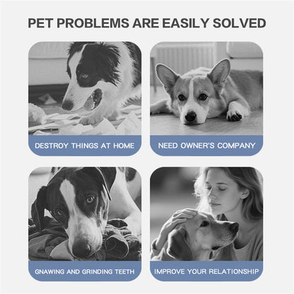 Pet Ball for Dogs Interactive Toys Motion Activate Rolling Ball for Puppy/Small Dogs Automatic Moving Toy USB Rechargeable Toy